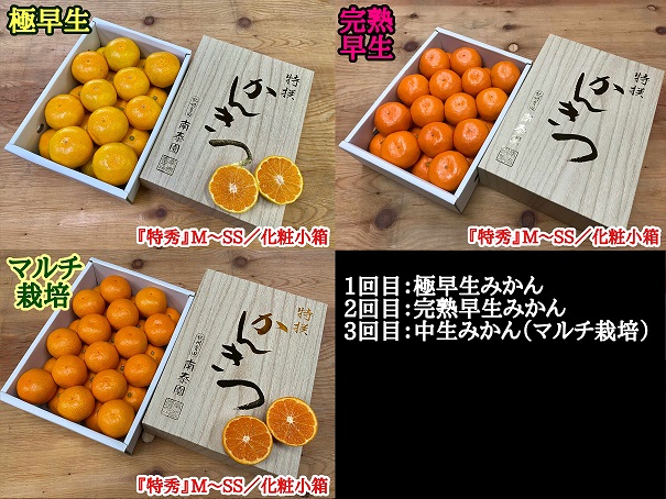 【定期便 全3回】 有田みかん 食べくらべ 3種 化粧小箱 各 約2kg 南泰園 _ZF6315n