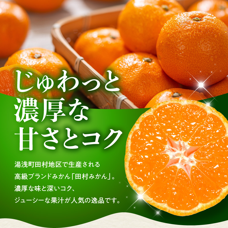 田村みかん 秀品 約 5kg 2Sサイズ 高級ブランド 田村みかん 小玉 みかん 温州みかん フルーツ 果物 柑橘 果汁 ジューシー 赤秀品 青秀品 国産 食品 食べ物 お取り寄せ 和歌山県 湯浅町 送料無料_DN6014