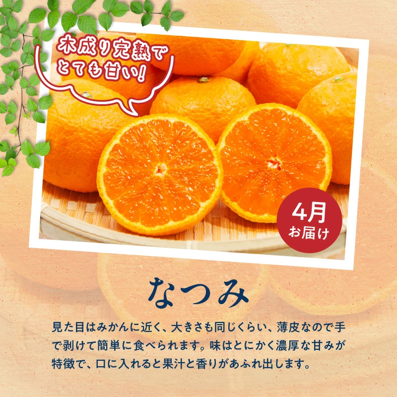 【定期便 全3回】紀州和歌山産旬のフルーツ定期便（田村みかん、いちご、なつみ）_G60-T76