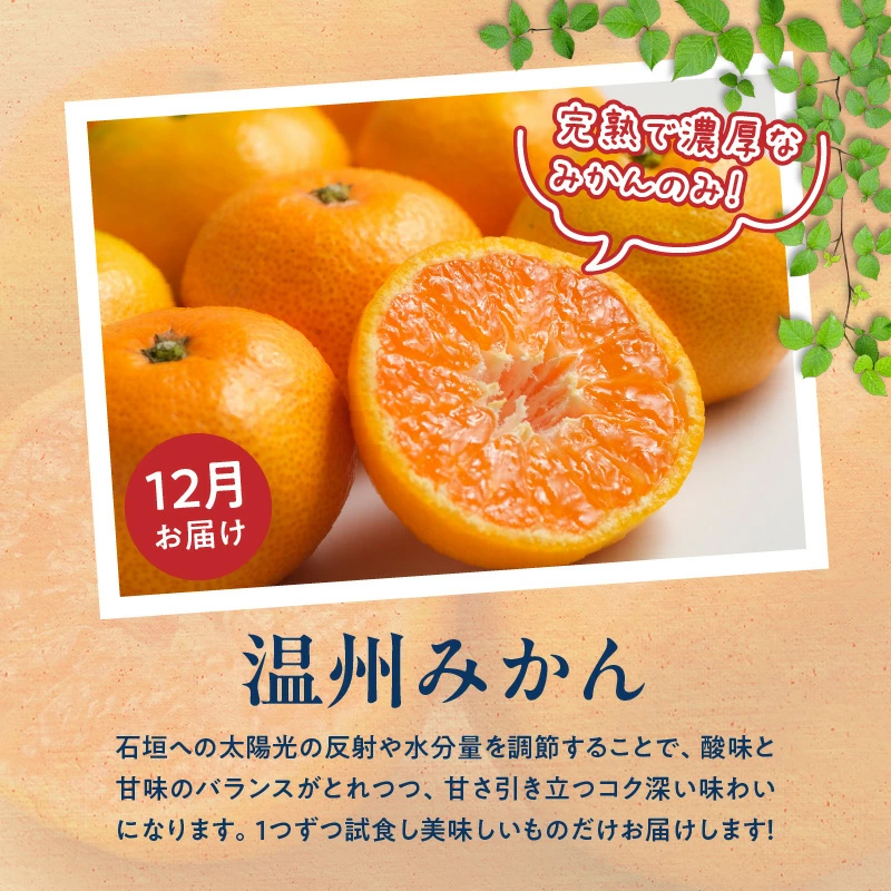 【定期便 全3回】紀州和歌山産旬のフルーツ定期便（温州みかん、いちご、紀州デコ）_G60-T84
