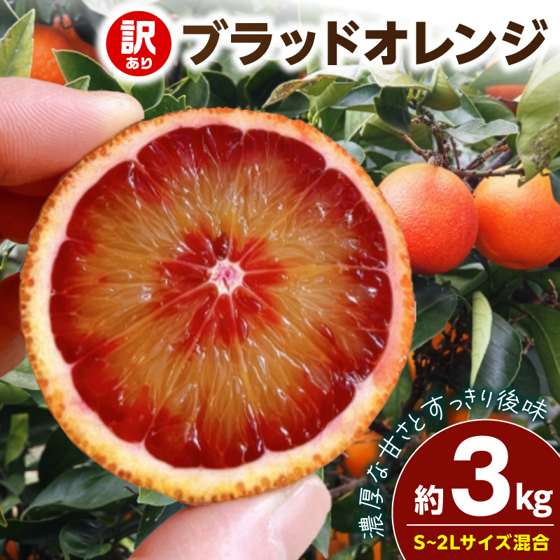 【2027年先行予約】《訳あり 家庭用》ブラッドオレンジ 約3kg（S～2Lサイズ混合）_EQ6011
