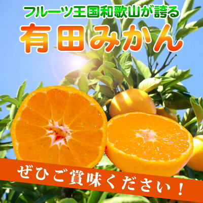【2026年先行予約】有田みかん 約10kg ご家庭用 和歌山 ゆら早生 極早生 (SS、S、M、Lサイズ)【湯浅町】_AT6257n