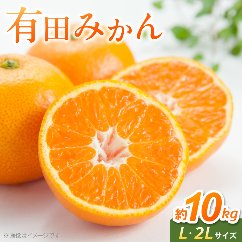 【2026年先行予約】有田みかん　L,2Lサイズ混合　約10kg_BF6069