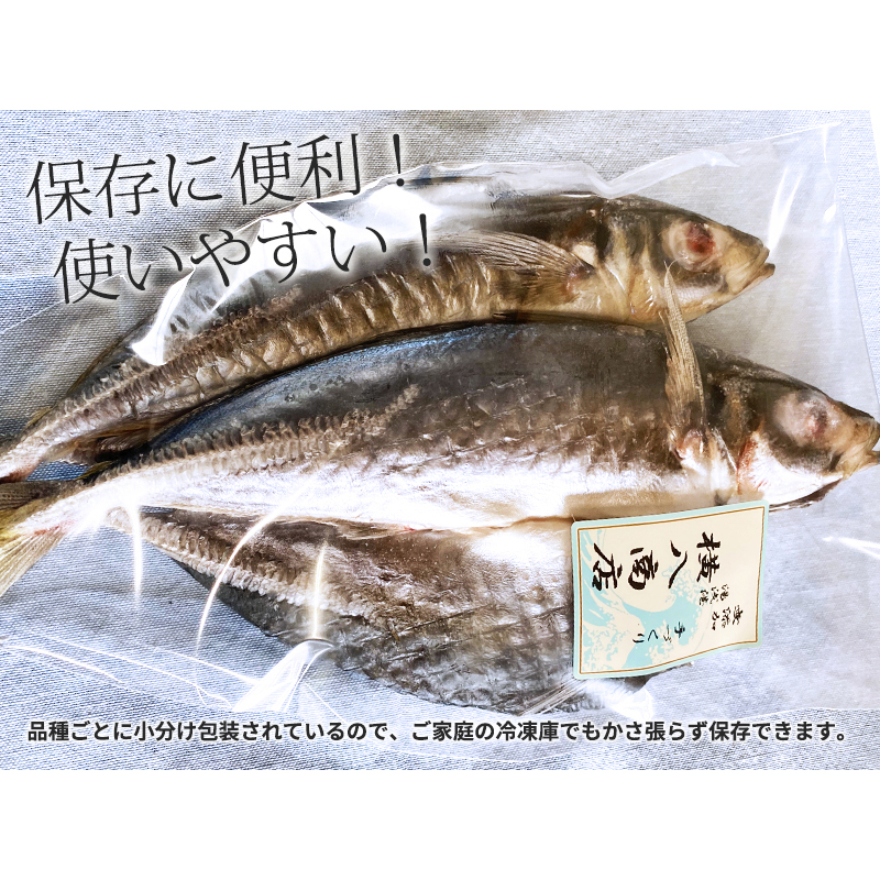 しらす ・ 干物 おまかせ詰め合わせ セット C _DL6003
