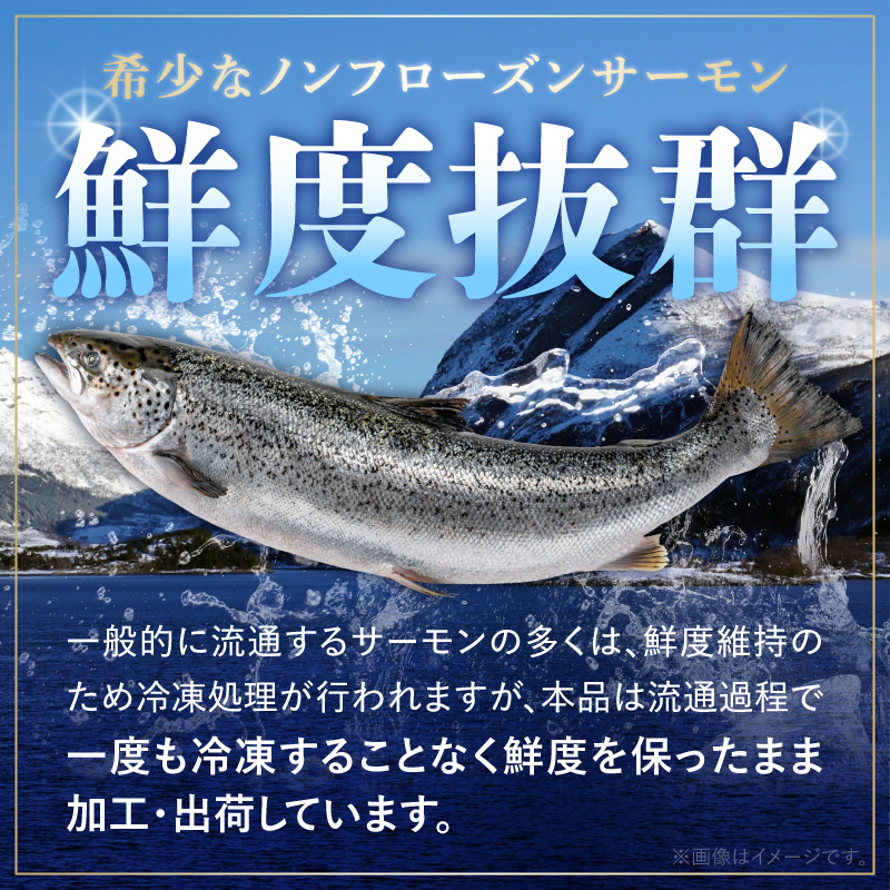 いっちゃんええ【ノンフローズン】生サーモン 全て手作業 半身 約1.8kg_FJ1002