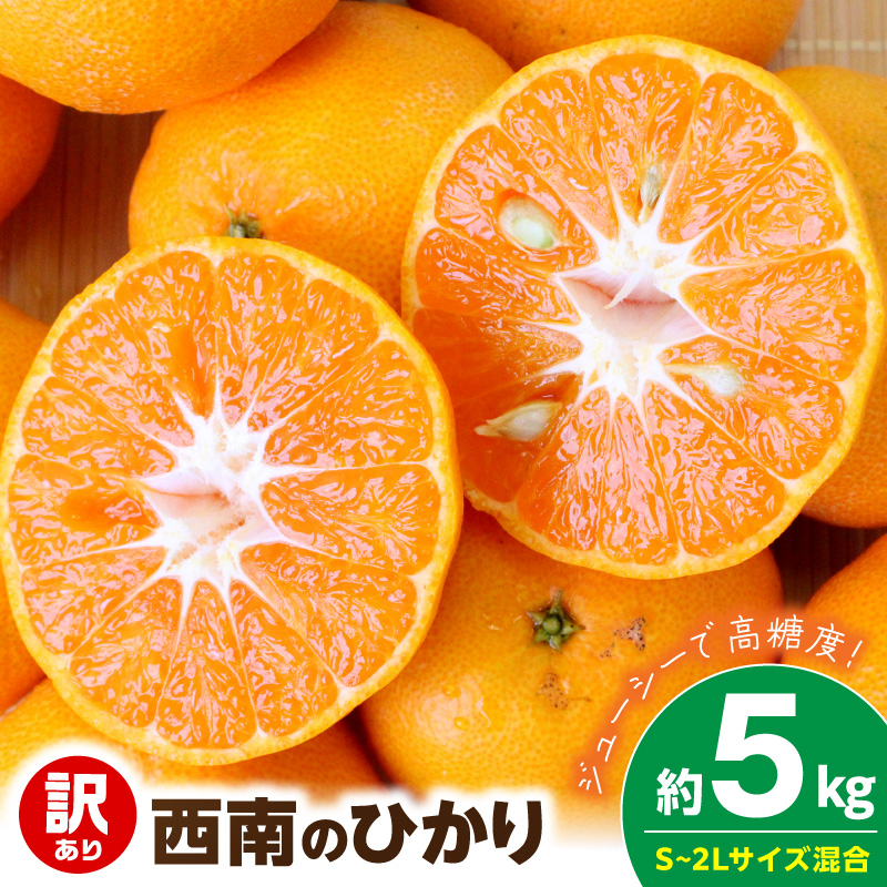 【2026年先行予約】《訳あり 家庭用》西南のひかり 約5kg（S～2Lサイズ混合）_EQ6008