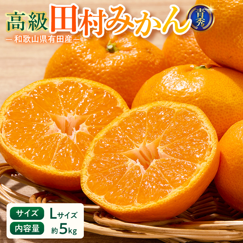 【2026年先行予約】「高級 田村みかん」 青秀 約5kg Lサイズ 和歌山県有田産 有田みかん_U6243n
