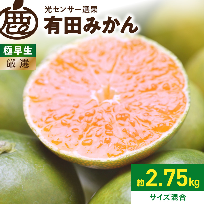 厳選 極早生有田みかん約2.5kg+250g（傷み補償分）ゆら早生みかん【YN26・ゆら早生】【光センサー選果】_ZH7039