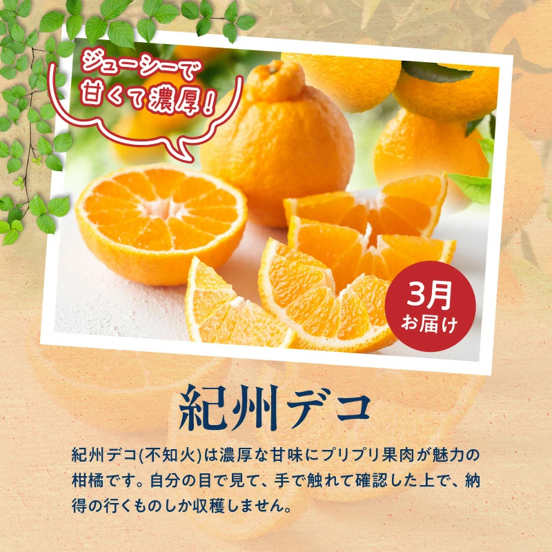 【定期便 全3回】紀州和歌山産旬のフルーツ定期便（田村みかん、いちご、紀州デコ）_G60-T78