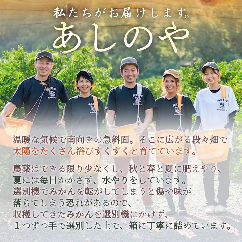 【まごころ搾りたて】100%ジュース《みかん・清見・不知火》180ml 各1本　計3本　贈答用_ZE6442