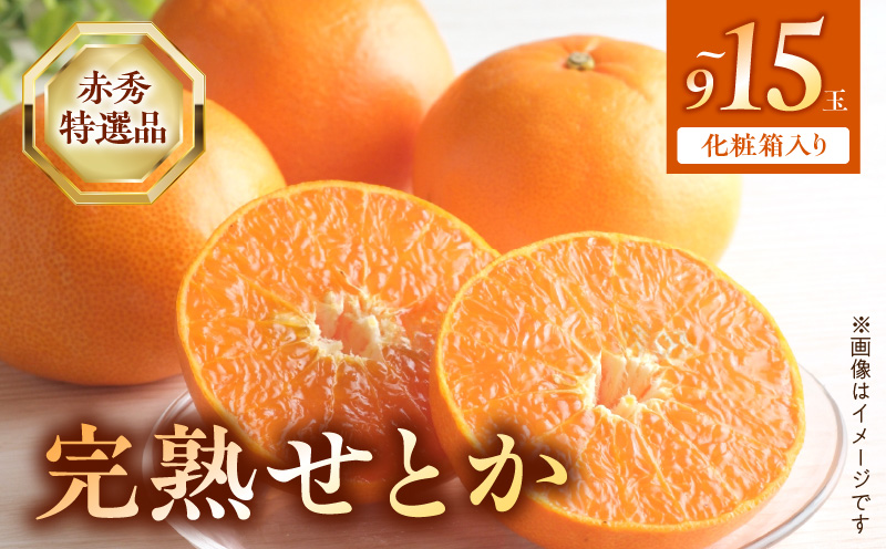 【2027年先行受付】完熟 せとか 赤秀 特選品 9～15玉 化粧箱_BF6048n