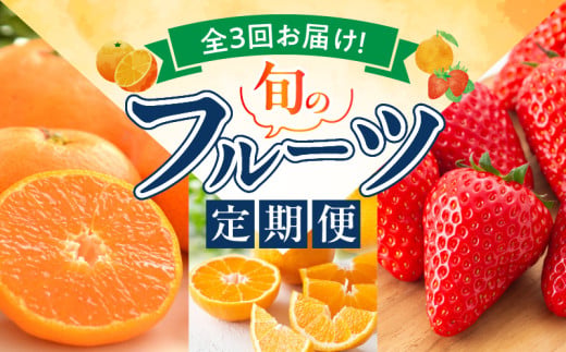 【定期便 全3回】紀州和歌山産旬のフルーツ定期便（田村みかん、いちご、紀州デコ）_G60-T78