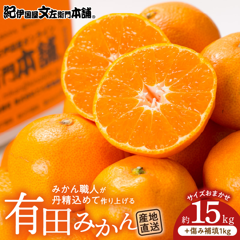 【2026年先行予約】有田みかん 約15kg(+傷み補填分1kg)=合計16kg【サイズおまかせ】 / 産地直送 / 紀伊国屋文左衛門本舗（お届け日指定不可）_V7440