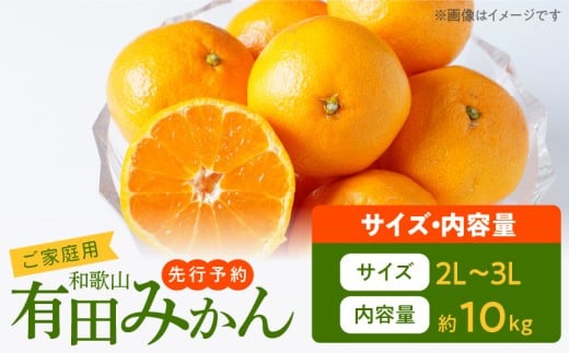 【2026年先行予約】ご家庭用　和歌山有田みかん 約10kg (2L、3Lサイズ)【湯浅町】_AT6314