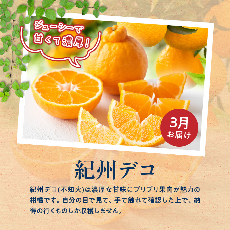 【定期便　全3回】魚鶴商店　旬のフルーツ定期便_G60-T82