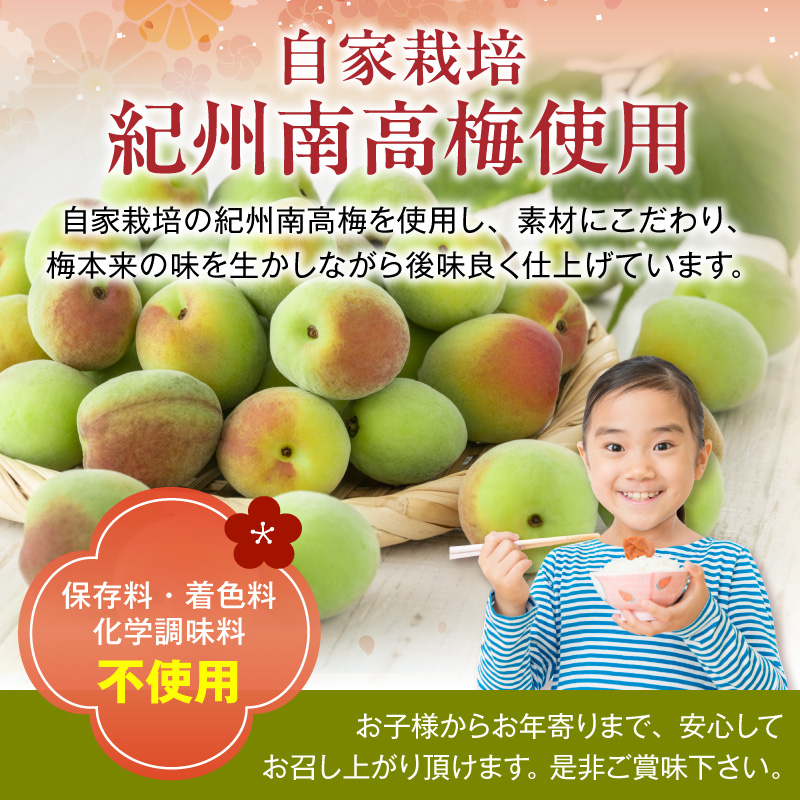 紀州南高梅使用 しそ仕込み完熟梅干し 640g_ZD7037