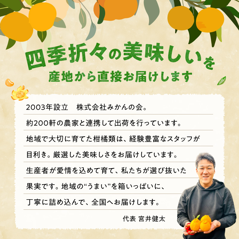 【2026年先行予約】訳あり それでも みかん 箱込 7.5kg ( 内容量 6.8kg ) サイズミックス Ｂ品 有田みかん 和歌山県産 産地直送 家庭用【みかんの会】_MK1049