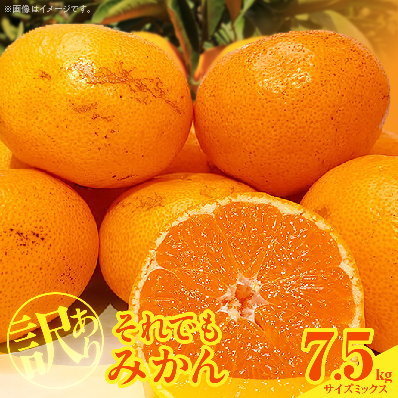訳あり それでも みかん 箱込 7.5kg ( 内容量 6.8kg ) サイズミックス Ｂ品 有田みかん 和歌山県産 産地直送 家庭用【みかんの会】_MK1049