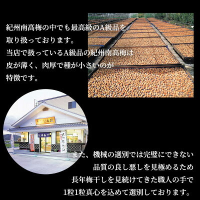 特選紀州南高梅「白梅の里」うす塩味　430ｇ_SF2008