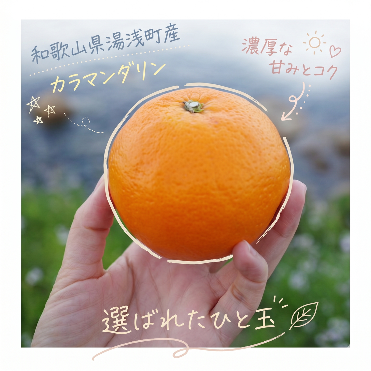 【2027年先行予約】《訳あり 家庭用》カラマンダリン 約5kg（S～2Lサイズ混合）_EQ6006