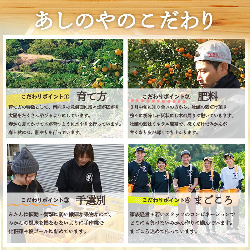 【2027年先行予約】和歌山県産 有田の八朔 (はっさく)【訳あり 家庭用】約4kg【S～4Lサイズ混合】まごころ手選別 _ZE6379n