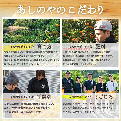 【2026年先行予約】和歌山 湯浅町産 田村みかん 約10kg【2L】_ZE6487