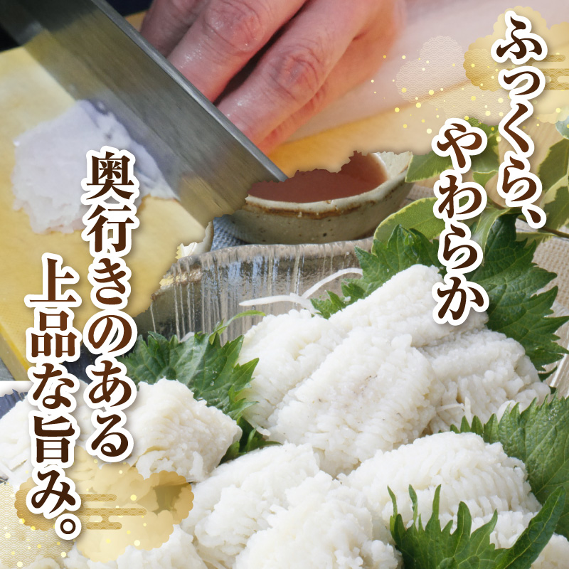 【訳アリ・業務用】活〆 加熱用 国産 骨切鱧 約1kg （200g〜300g程の大きさの鱧を3〜5匹）_SD1009