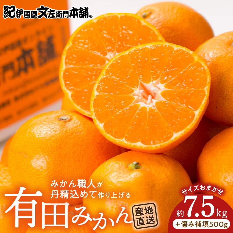 【2026年先行予約】有田みかん約7.5kg(+傷み補填分500g)=合計8kg【サイズおまかせ】 / 産地直送 / 紀伊国屋文左衛門本舗（お届け日指定不可）_V7441