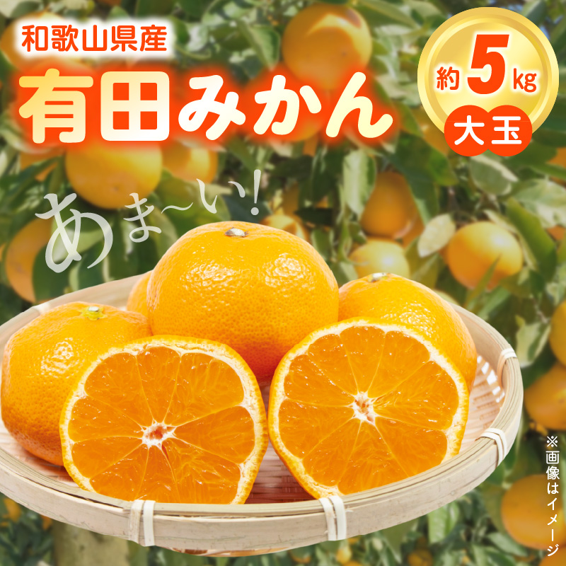 【2026年先行予約】（大玉）和歌山県産 有田みかん 5kg ひとつひとつ手選別で厳選！生産者から直送_ZN6011n