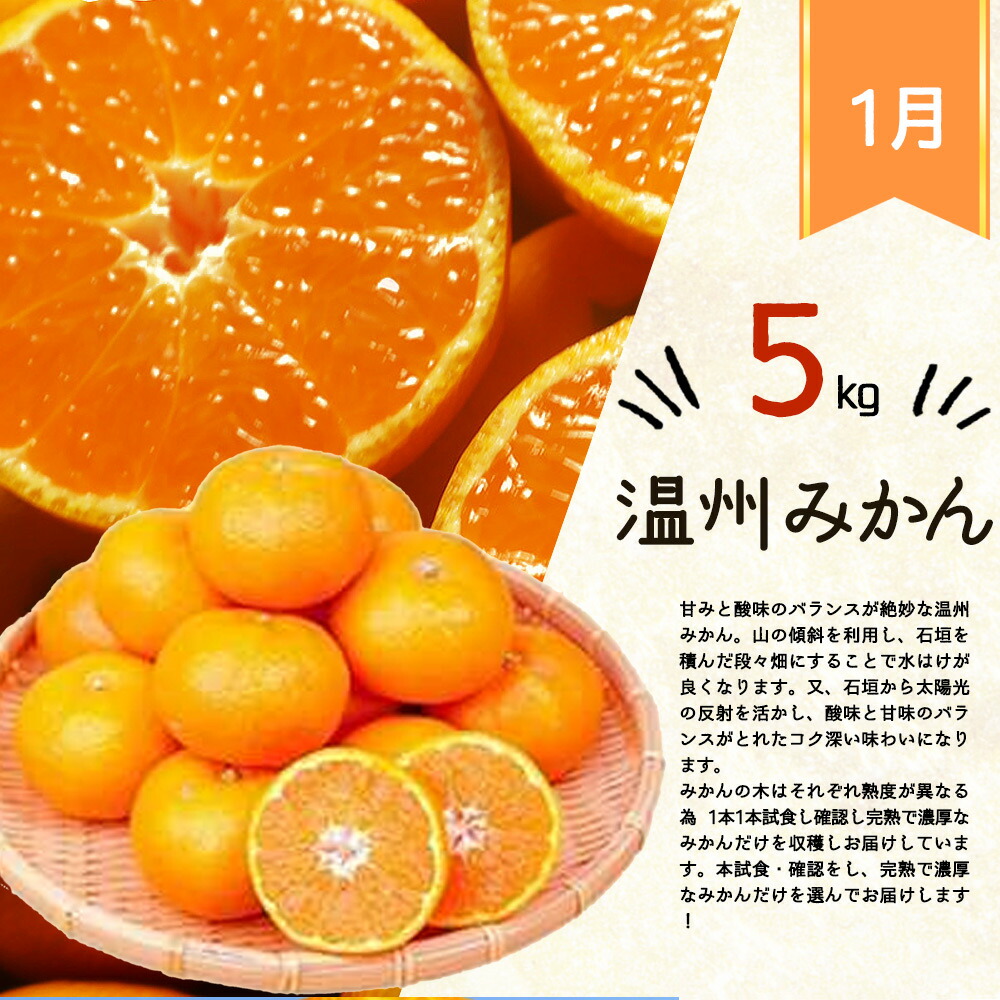 【定期便 全3回】紀州和歌山産旬の柑橘セット（みかん・ポンカン・清見）_G60-T32