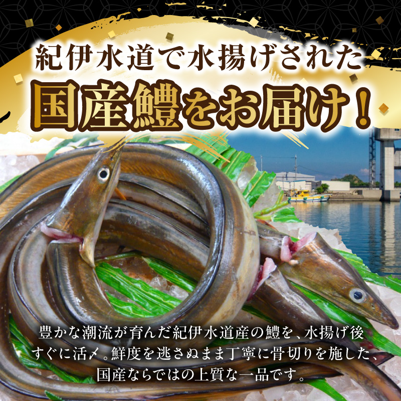 【訳アリ・業務用】活〆 加熱用 国産 骨切鱧 約1kg （200g〜300g程の大きさの鱧を3〜5匹）_SD1009