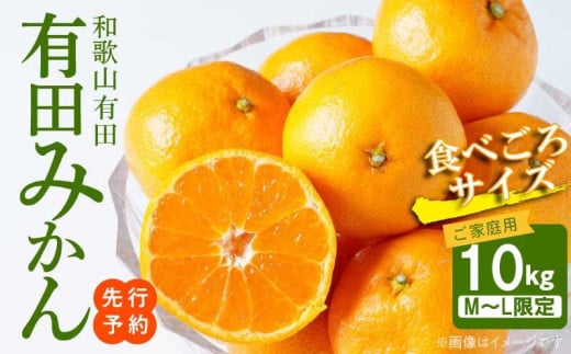 【2026年先行予約】ご家庭用　有田みかん 約10kg (M、Lサイズ)【湯浅町】_AT6310