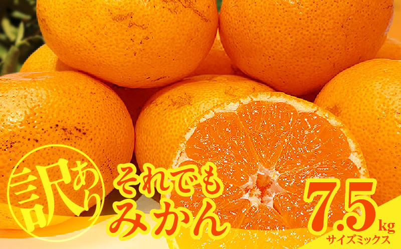 【2026年先行予約】訳あり それでも みかん 箱込 7.5kg ( 内容量 6.8kg ) サイズミックス Ｂ品 有田みかん 和歌山県産 産地直送 家庭用【みかんの会】_MK1049