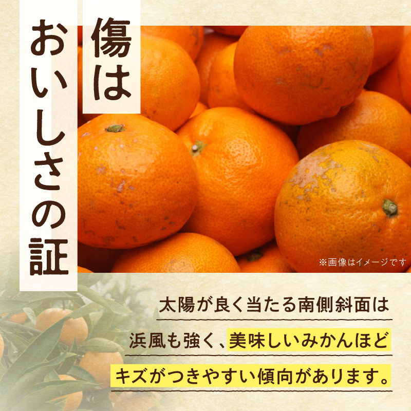 家庭用 小玉な有田みかん約5kg+250g（傷み補償分）【わけあり・訳あり】【光センサー選果】_ZH7109