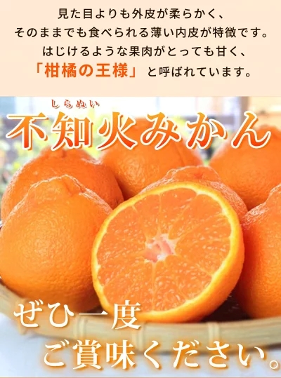 【2027年先行予約】紀州有田産 不知火 (しらぬい)【家庭用 訳あり】6kg デコポン フルーツ デザート 柑橘 果物 果実 みかん お取り寄せ 和歌山県 湯浅町 送料無料_G7358