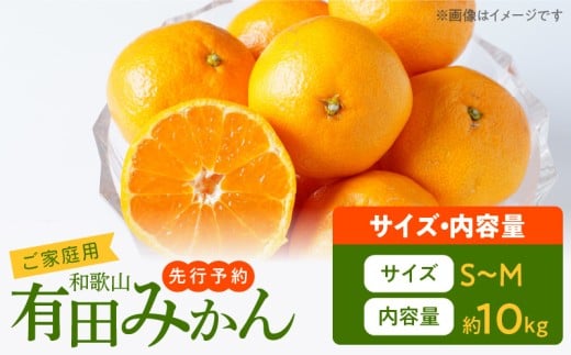 【2026年先行予約】ご家庭用　有田みかん 約10kg (S、Mサイズ)【湯浅町】_AT6322