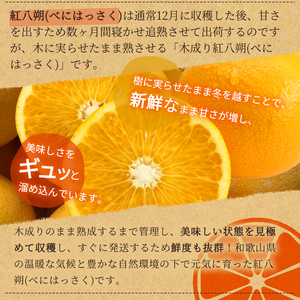 【2027年先行予約】紀州有田産 木成り完熟 紅八朔 8kg_G7105