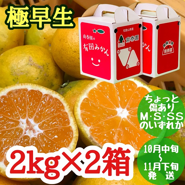 ちょっと 傷あり 極早生 みかん 有田 M～SSサイズ 約2kg × 2箱 手さげ箱 南泰園_ZF6026n
