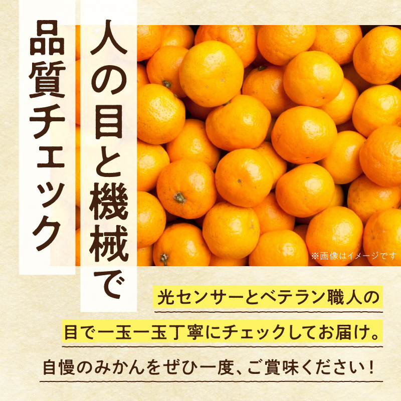 家庭用 小玉な有田みかん約5kg+250g（傷み補償分）【わけあり・訳あり】【光センサー選果】_ZH7109