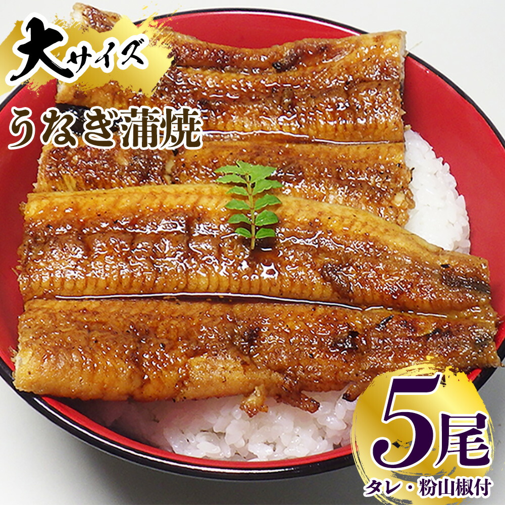 炭焼き うなぎ 蒲焼 大サイズ 5尾 セット（約150～199g×5尾）タレ・粉山椒付き　国産鰻　冷凍ウナギ　1尾ずつ真空パック　土用の丑の日　紀伊国屋文左衛門本舗_V7304