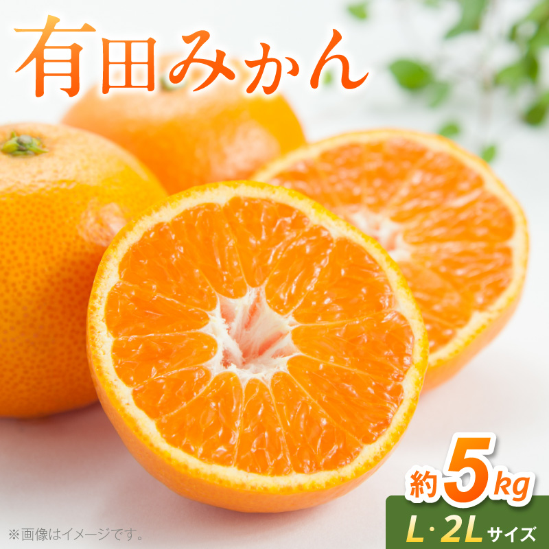 【2026年先行予約】有田みかん　L,2Lサイズ混合　約5kg_BF6070