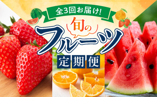 【定期便　全3回】魚鶴商店　旬のフルーツ定期便_G60-T82