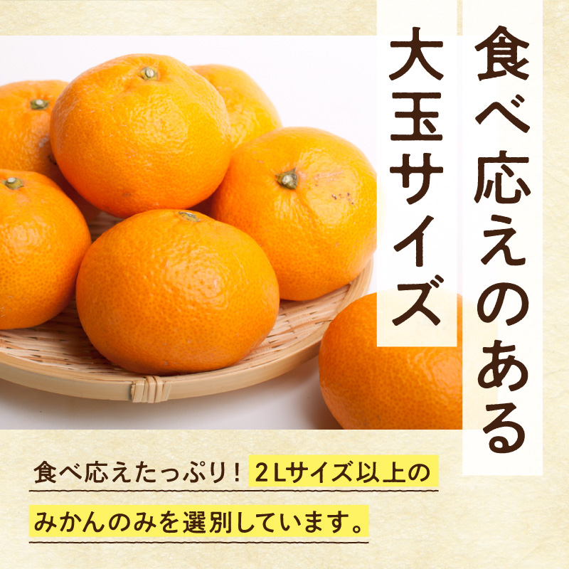 家庭用 大きな有田みかん約10kg+250g（傷み補償分）【わけあり・訳あり】【光センサー選果】_ZH7120