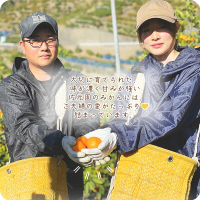 和歌山県産 有田みかん【訳あり 家庭用】約10kg 小玉 3S～Sサイズ_DI6017n