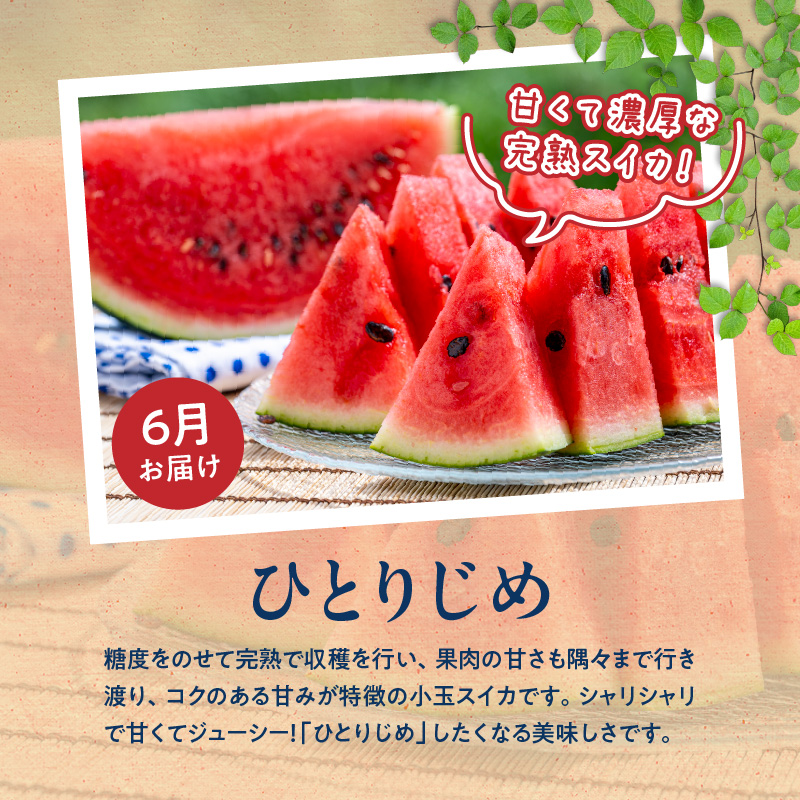 【定期便　全3回】魚鶴商店　旬のフルーツ定期便_G60-T82