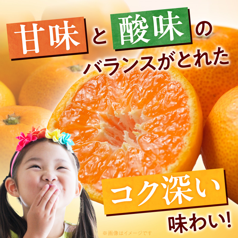 【2026年先行予約】【ご家庭用訳アリ】紀州有田産濃厚甘熟温州みかん 約2kg_G7325