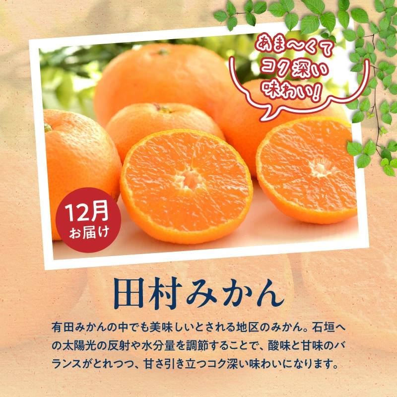 【定期便 全3回】紀州和歌山産旬のフルーツ定期便（田村みかん、いちご、紀州デコ）_G60-T78