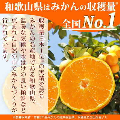 【2026年先行予約】（大玉）和歌山県産 有田みかん 5kg ひとつひとつ手選別で厳選！生産者から直送_ZN6011n