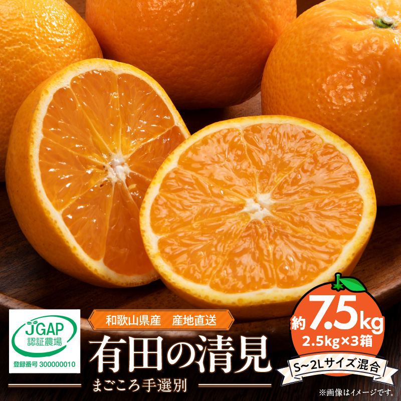 【2027年先行予約】和歌山県産 有田の 清見 7.5kg (2.5kg×3箱) (S～2Lサイズ混合) 【まごころ手選別】_ZE6121n