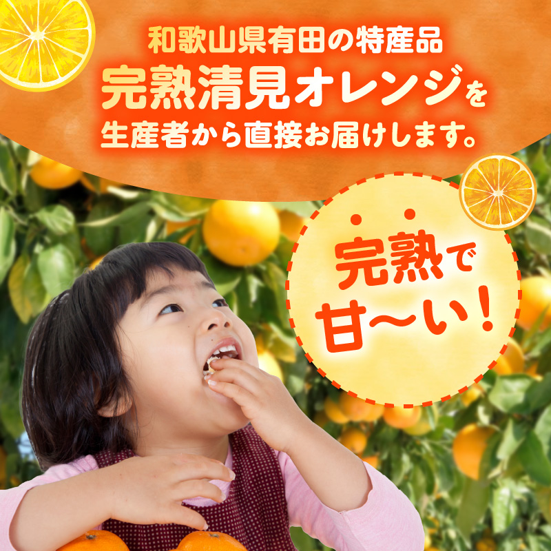 【2027年先行予約】和歌山県有田産 完熟 清見オレンジ 5kg ひとつひとつ丁寧に厳選！生産者から直送【清見 みかん オレンジ タンゴール きよみ 柑橘 和歌山 有田】_ZN6001n
